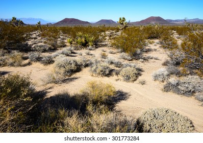 Mojave National Preserve