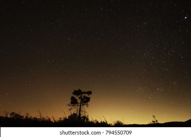 Mojave Night Sky