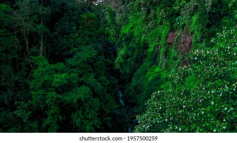 MOJOKERTO, INDONESIA - 28 APRIL 2021 - 
Lush Trees In The Middle Of A Steep Valley Flowing By A Fairly Swift River In The Highlands