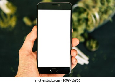 Mokcap Smartphone With White Screen For ?hroma Key, Chromakey Against The Background Of Cannabis Flowers, Concept Of Online Store Of Herbs Of Medical Marijuana Close Up