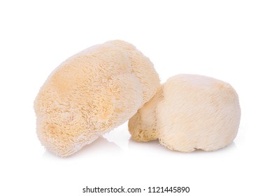 Monkey Head Mushroom Images Stock Photos Vectors Shutterstock