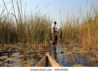 Mokoro Safari In Okavango Delta, Botswana