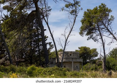 Molat Island, Croatia - June 06, 2022 : derelict ruins of the Molat concentration camp.Between June 1942 and September 1943 it was used mainly for the internment of Slovenes, Croats and Serbs 