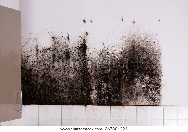 Mold Behind Kitchen Cabinets Stock Photo Edit Now 367304294
