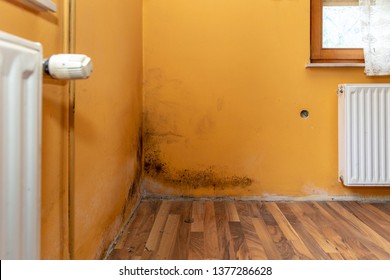 Mold build up in a corner of a poorly hydro isolated house - Shutterstock ID 1377286628