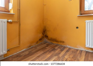 Mold build up in a corner of a poorly hydro isolated house - Shutterstock ID 1377286634