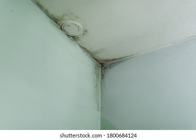 Mold From Condensation On The Walls Corner In The Room Stock Photo