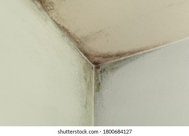 Mold From Condensation On The Walls Corner In The Room Stock Photo