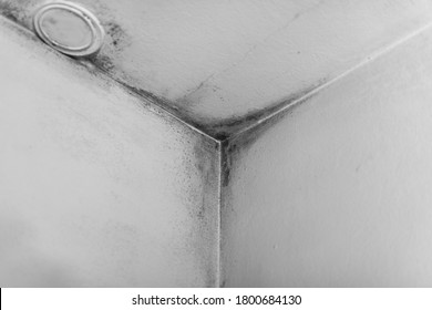 Mold From Condensation On The Walls Corner In The Room Stock Photo