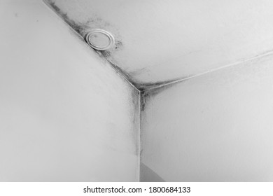 Mold From Condensation On The Walls Corner In The Room Stock Photo