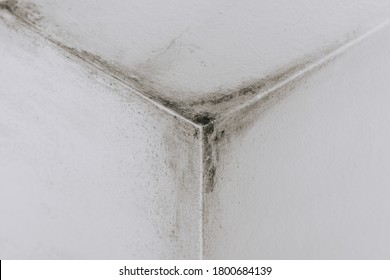 Mold From Condensation On The Walls Corner In The Room Stock Photo