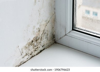 Mold in the corner of the plastic windows.