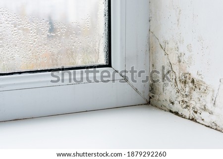 Mold in the corner of the plastic windows.