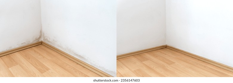 Mold in the corner of a wall above the laminate flooring, photos before and after cleaning
					Comparative Before and after black mold dirty wall with clean white wall 