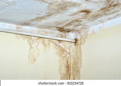 21,920 Mold ceiling Images, Stock Photos & Vectors | Shutterstock