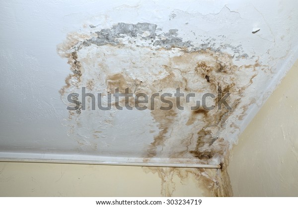 Mold Corner White Ceiling Yellow Wall Royalty Free Stock Image