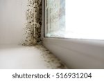 mold in the corner of the window
