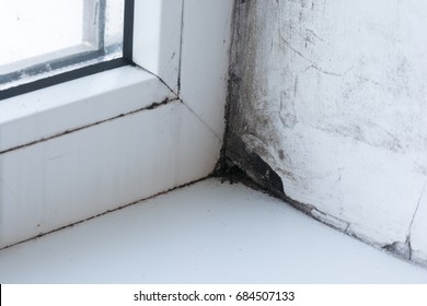 Old Window Sills Images Stock Photos Vectors Shutterstock