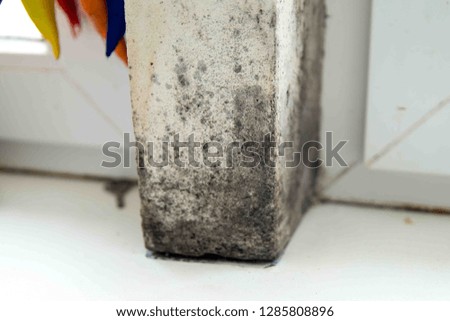 mold in the corner of the window