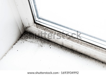 mold in the corner of the window