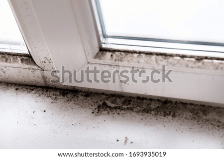 mold in the corner of the window