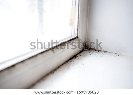 mold in the corner of the window