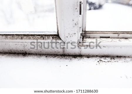 mold in the corner of the window