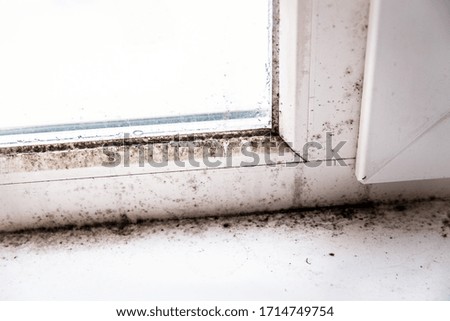 mold in the corner of the window