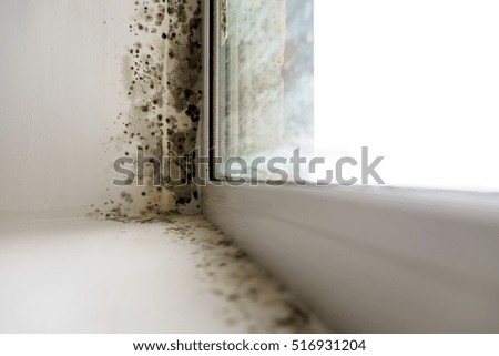 mold in the corner of the window