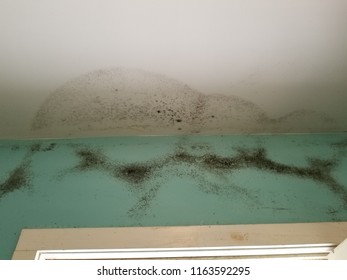 Leaking Roof Images Stock Photos Vectors Shutterstock