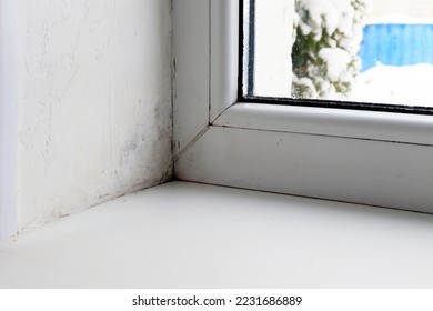 Mold and dampness in the corner of the plastic window. Fungus in the clinic due to poor ventilation and improper installation of windows.
