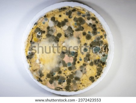 Mold of different types on a plate with spoiled food.