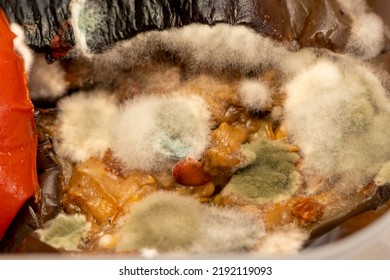 Mold Fungi And Spores On Fried Vegetables, Close-up, Selective Focus. Concept: Decomposition Products, Food Poisoning.