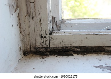 Mold Fungus And Moist In Left Corner Of Window Frame And On Glass