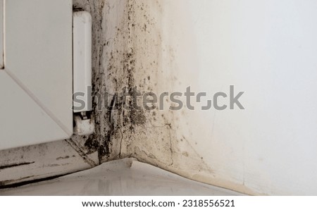 Mold, fungus on the slope of the wall. Black mold on white wall near window close up.