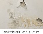 Mold and fungus problem due to humidity and leakage in a home interior. Textured wall with stains creating an ugly unhealthy surface in the house. Moist problems and a broken wall, selective focus