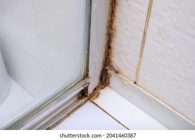 Mold Fungus And Rust Growing In Tile Joints In Damp Poorly Ventilated Bathroom With High Humidity, Wtness, Moisture And Dampness Problem In Bath Areas And Shower