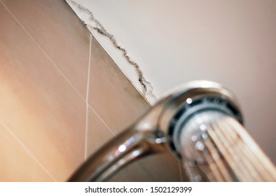 Mould In Home Images Stock Photos Vectors Shutterstock