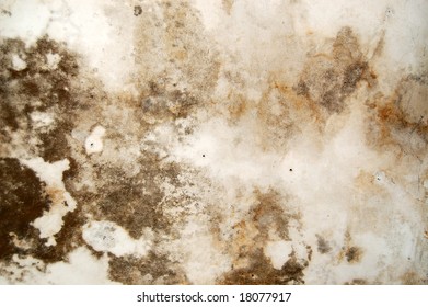 Mold growth and water stains on the ceiling of an abandoned house.