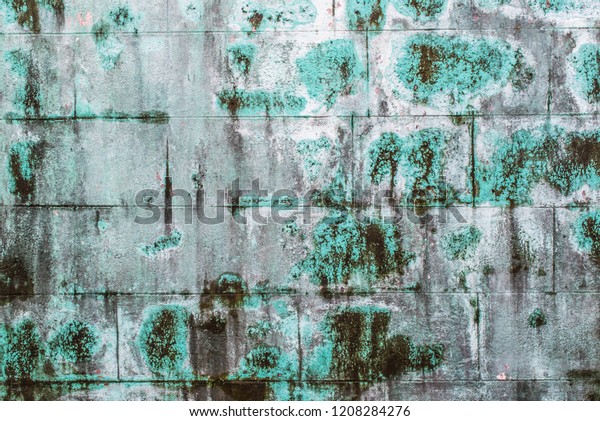 Mold Growth Water Stains On Ceiling Stock Image Download Now