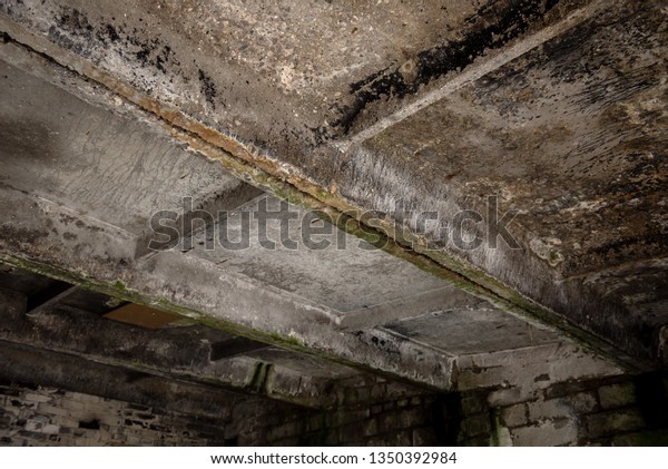 Mold Growth Water Stains On Ceiling Stock Photo Edit Now 1350392984