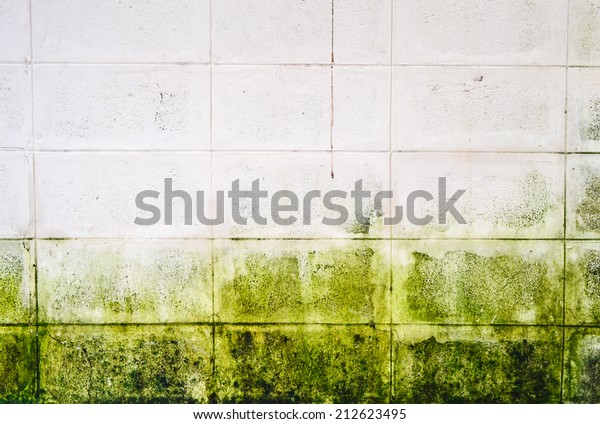 Mold Growth Water Stains On Ceiling Stock Photo Edit Now