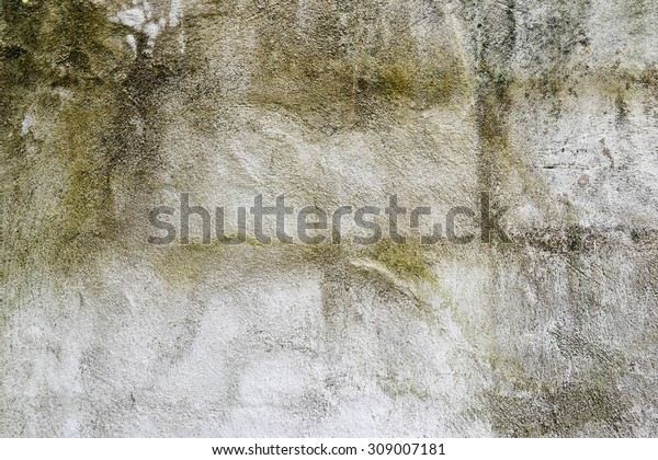 Mold Growth Water Stains On Ceiling Stock Photo Edit Now