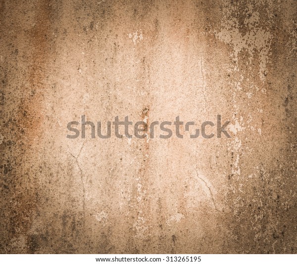 Mold Growth Water Stains On Ceiling Stock Photo Edit Now