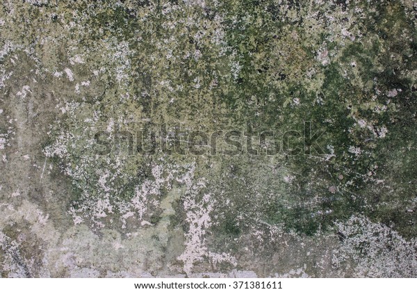 Mold Growth Water Stains On Ceiling Stock Photo Edit Now 371381611