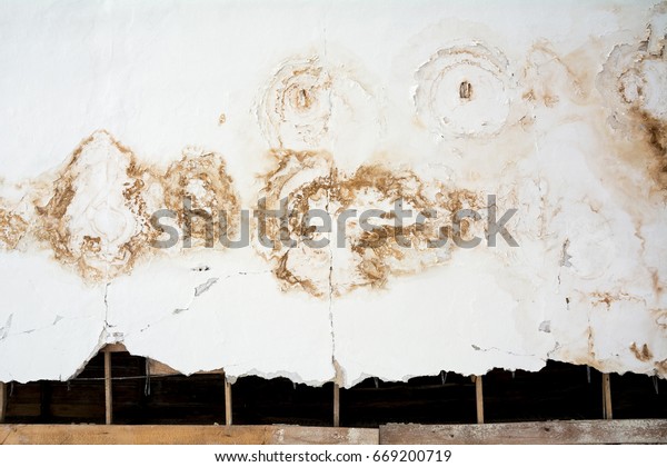 Mold Growth Water Stains On Ceiling Stock Photo Edit Now 669200719