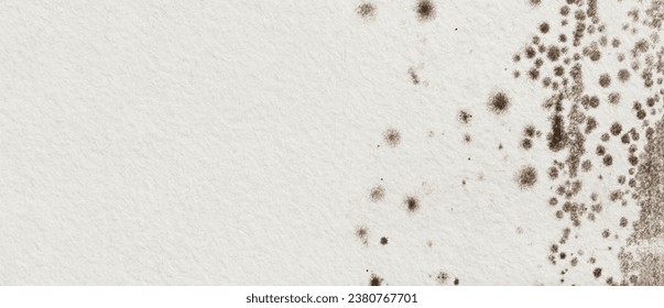 Mold infested wall, banner, background. Concept of the problem of mold indoors on the walls with copy space for text