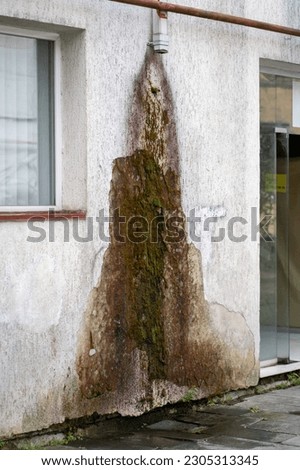 Mold, lichen, fungus on walls of building outside, water leaks on walls causing damage, rapid deterioration of house. Humid climate, high and excessive humidity concept. 