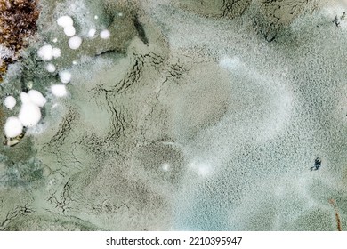 Mold. Microbe Colony. Colonies Grown On Nutrient Medium
Texture Of Mold And Fungi, Microbiology. Microbe Colony. Colonies Grown. Macro Abstract Background