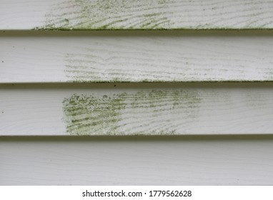 Mold And Mildew On The Exterior Siding Of A House 